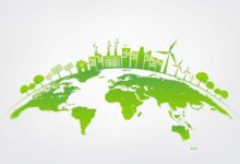 Durabilité ou développement durable ? Mieux comprendre pour mieux agir.
