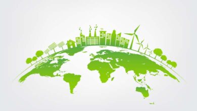 Durabilité ou développement durable ? Mieux comprendre pour mieux agir.